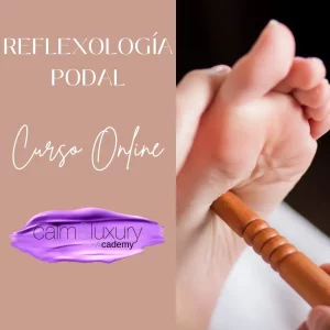 Sumérgete en el mundo de la Reflexología Podal y su impacto en el bienestar. Curso Reflexología Podal - Descubre el Poder de Sanación a Través de los Pies